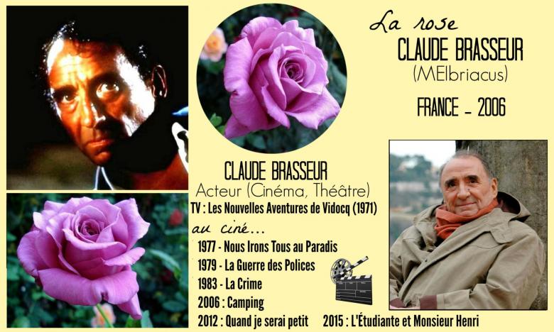 Rose claude brasseur melbriacus meilland richardier 2006 roses passion 2j