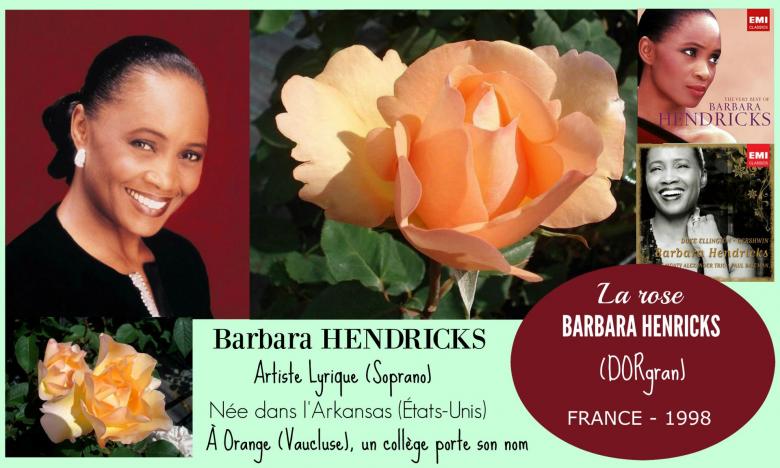 Rose barbara hendricks dorgran dorieux france 1998 roses passion 2 j