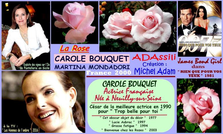 Rose carole bouquet adassili martina mondadori michel adam france 2000 roses passion