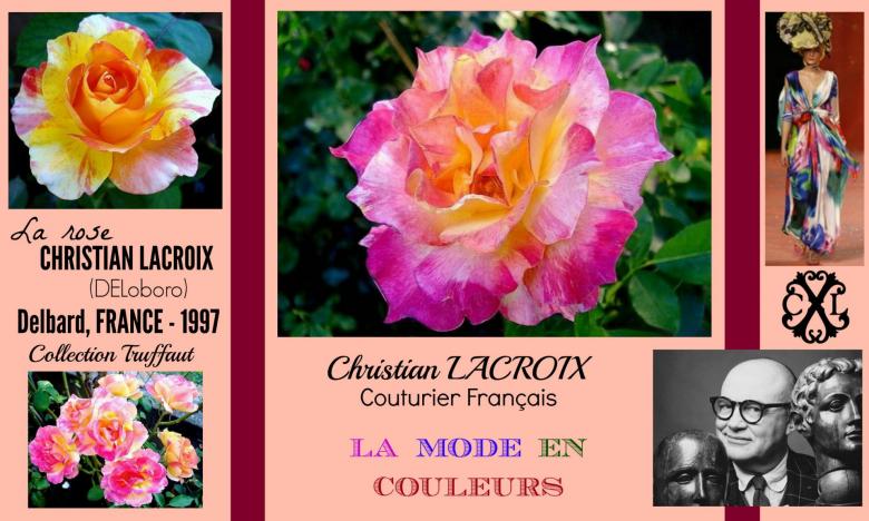 Rose christian lacroix deloboro delbard collection truffaut france 1997 roses passion 2j