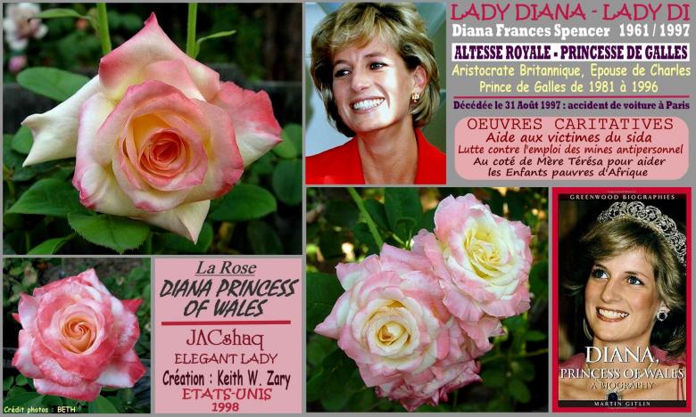 Rose diana princess of wales jacshaq elegant lady zary roses passion 2