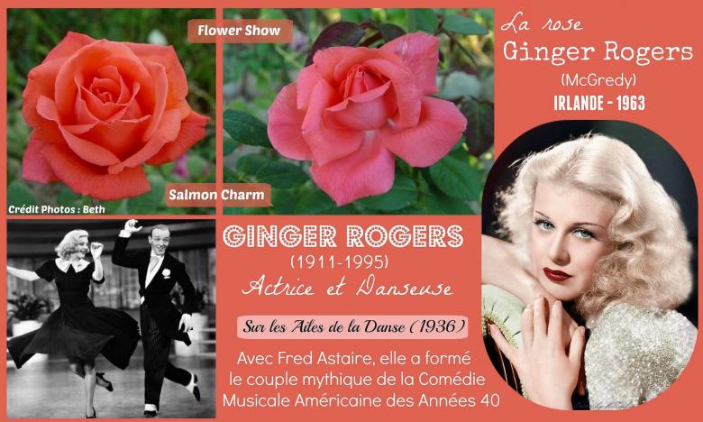 Rose ginger rogers salmon charm flower show mcgredy irlande roses passion 2j