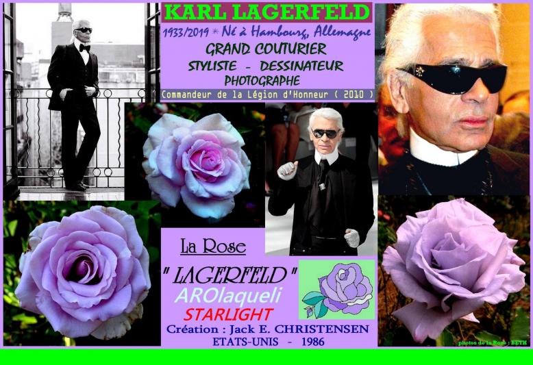Rose lagerfeld arolaqueli starlight karl lagerfeld jack e christensen roses passion