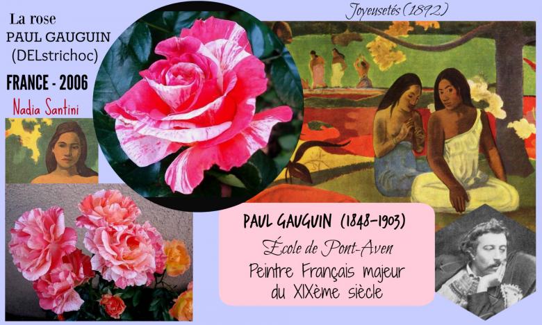 Rose paul gauguin delstrichoc nadia santini delbard france 2006 roses passion 2j