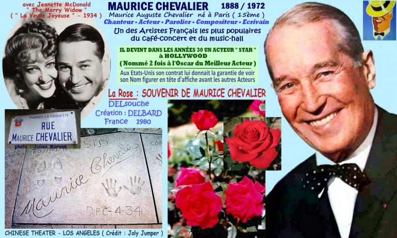 Rose souvenir de maurice chevalier delsouche delbard france 1980 roses passion