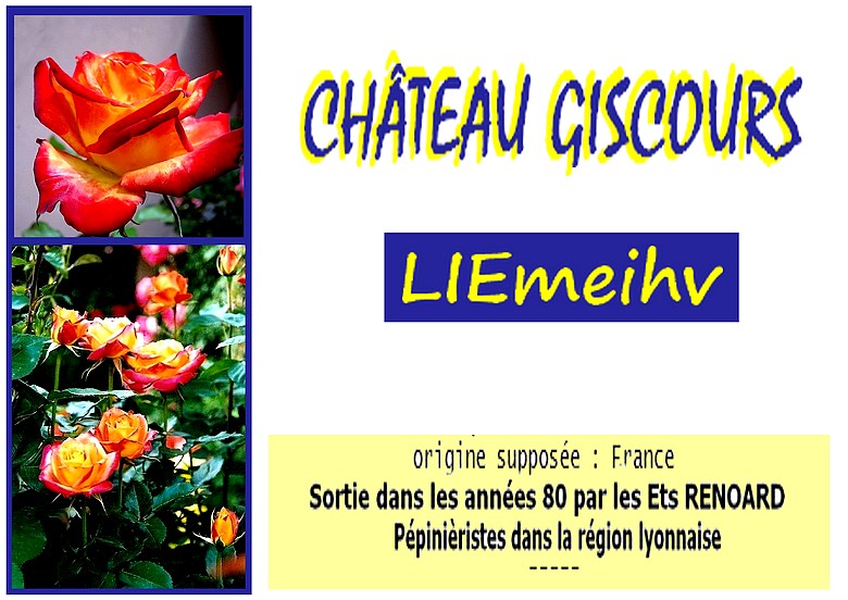 rosesp-chateau-giscours-4431.jpg